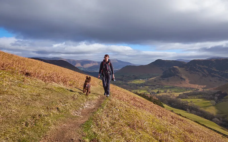 A man and his dog walking along trail